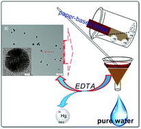 Graphical abstract: Chitosan–gold nanocomposite and its functionalized paper strips for reversible visual sensing and removal of trace Hg2+ in practice