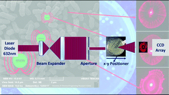 Graphical abstract: Nanoparticles affect bacterial colonies’ optical diffraction patterns