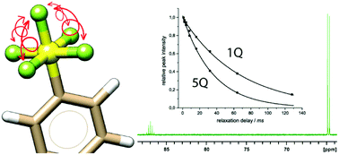 Graphical abstract: 19F multiple-quantum coherence NMR spectroscopy for probing protein–ligand interactions