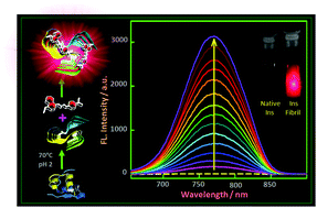 Graphical abstract: A molecular rotor-based turn-on sensor probe for amyloid fibrils in the extreme near-infrared region