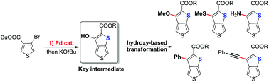 Graphical abstract: Divergent synthesis of 3-substituted thieno[3,4-b]thiophene derivatives via hydroxy-based transformations