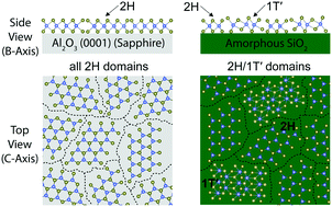 Graphical abstract: Effects of growth substrate on the nucleation of monolayer MoTe2