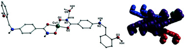 Graphical abstract: Slight ligand modifications within multitopic linear hydroxamates promotes connectivity differences in Cu(ii) 1-D coordination polymers