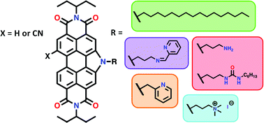 Graphical abstract: Sidechain engineering of N-annulated perylene diimide molecules