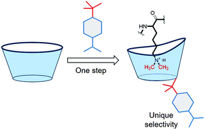 Graphical abstract: An easily accessible, lower rim substituted calix[4]arene selectively binds N,N-dimethyllysine