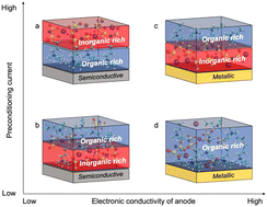 Graphical abstract: The impact of electrode conductivity on electrolyte interfacial structuring and its implications on the Na0/+ electrochemical performance