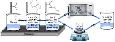 Graphical abstract: Emerging investigator series: post-synthesis modification of reverse osmosis membranes for the enhanced separation of small neutral molecules