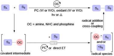 Graphical abstract: Nucleophilic organocatalysis involving radical intermediates