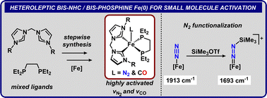Graphical abstract: Synthesis of heteroleptic bis-phosphine bis-NHC iron (0) complexes: a strategy to enhance small molecule activation