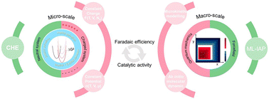 Graphical abstract: Advancing electrochemical N2 reduction: interfacial electrolyte effects and operando computational approaches