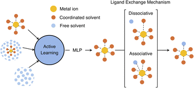 Graphical abstract: Modelling ligand exchange in metal complexes with machine learning potentials
