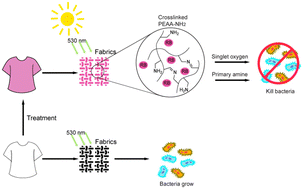 Graphical abstract: Antimicrobial textiles based on photocrosslinked poly(ethylene-co-acrylic acid)