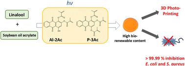 Graphical abstract: Terpenes, natural dyes and photochemistry: toward the synthesis of photoactive bio-based materials with biocide properties