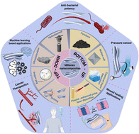 Graphical abstract: Translational paradigm of MXene nanocomposites: biophysical advancements to modern applications