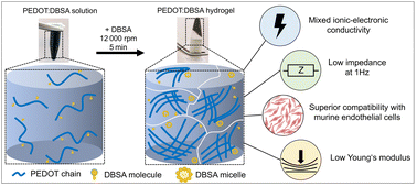 Graphical abstract: Novel conductive PEDOT:DBSA hydrogels with tuneable properties for bioelectronics