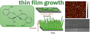 Graphical abstract: Investigating the thin film growth of [Ni(Hvanox)2] by microscopic and spectroscopic techniques