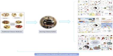 Graphical abstract: Formation of self-assembly aggregates in traditional Chinese medicine decoctions and their application in cancer treatments