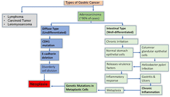 Graphical abstract: Helicobacter pylori and gastric cancer: current insights and nanoparticle-based interventions