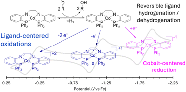 Graphical abstract: Hydrogen atom abstraction as a synthetic route to a square planar CoII complex with a redox-active tetradentate PNNP ligand
