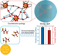 Graphical abstract: Environmentally ion-dissociable high-performance supramolecular polyelectrolyte plastics