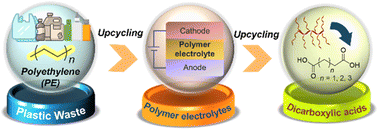 Graphical abstract: A cradle-to-cradle approach for successive upcycling of polyethylene to polymer electrolytes to organic acids