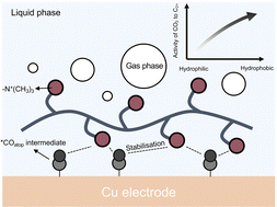 Graphical abstract: Benchmarking ionomers for CO2 electroreduction to multicarbon products in zero-gap electrolysers