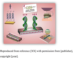 Graphical abstract: Recent advancements in chiral spintronics: from molecular-level insights to device applications. A prospect based on the interplay between physical and chemical properties of chiral systems