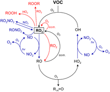 Graphical abstract: A perspective on the reactions of organic peroxy radicals with HO2