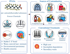 Graphical abstract: Biodegradation of per- and polyfluoroalkyl substances: mechanisms, challenges, and emerging strategies for sustainable remediation