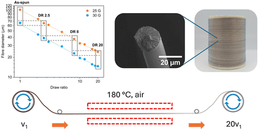 Graphical abstract: Hot-drawing ionic liquid-spun lignin–poly(vinyl alcohol) fibres increases strength and polymer alignment