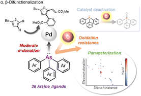 Graphical abstract: Structural effects of arsine ligands on C–H difunctionalization of thiophene
