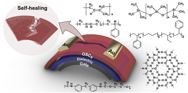 Graphical abstract: The rise of rubber-like synthetic polymers in next-gen transistor technologies