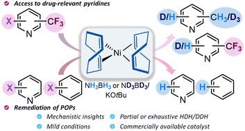 Graphical abstract: Bis(cyclooctadiene)nickel(0)-catalyzed exhaustive C(sp2)–X and C(sp3)–F hydrodehalogenation and deuterodefluorination of pyridines and arenes with a broad substrate scope