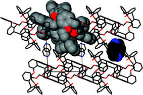 Graphical abstract: Conservation of self-associated dimers in solvates of a novel Horning-crown macrocycle