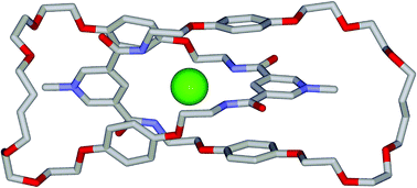 Graphical abstract: Anion templated assembly of mechanically interlocked structures