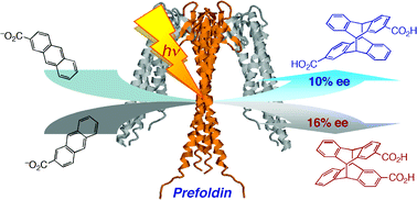 Graphical abstract: Bio-supramolecular photochirogenesis with molecular chaperone: enantiodifferentiating photocyclodimerization of 2-anthracenecarboxylate mediated by prefoldin
