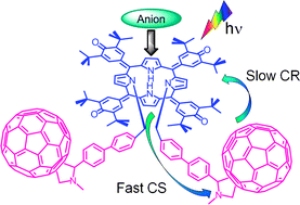 Graphical abstract: Effect of anion binding on charge stabilization in a bis-fullerene–oxoporphyrinogen conjugate