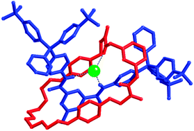 Graphical abstract: A meta-xylenediamide macrocycle containing rotaxane anion host system constructed by a new synthetic clipping methodology