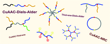 Graphical abstract: Double click reaction strategies for polymer conjugation and post-functionalization of polymers