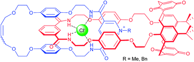 Graphical abstract: Cation-induced molecular motion of spring-like [2]catenanes