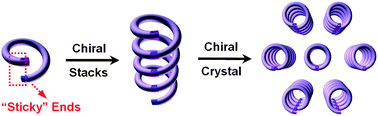 Graphical abstract: Chiral crystallization of aromatic helical foldamers via complementarities in shape and end functionalities