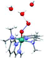 Graphical abstract: Experimental and quantum chemical characterization of the water oxidation cycle catalysed by [RuII(damp)(bpy)(H2O)]2+