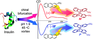 Graphical abstract: Supramolecular photochirogenesis with functional amyloid superstructures