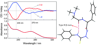 Graphical abstract: β-Turn structure in glycinylphenylalanine dipeptide based N-amidothioureas