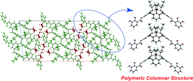 Graphical abstract: Head-to-tail polymeric columnar structure of calix[4]arene possessing catechol arms in the solid state