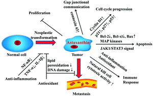 Graphical abstract: Microalgal carotenoids: beneficial effects and potential in human health