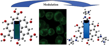 Graphical abstract: Surface functionalization of graphene quantum dots with small organic molecules from photoluminescence modulation to bioimaging applications: an experimental and theoretical investigation
