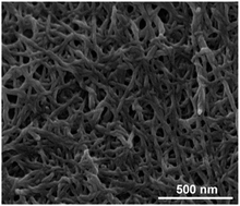 Graphical abstract: Triggered formation of thixotropic hydrogels by balancing competitive supramolecular synthons