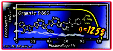 Graphical abstract: An achievement of over 12 percent efficiency in an organic dye-sensitized solar cell