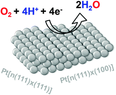 Graphical abstract: Elucidating the activity of stepped Pt single crystals for oxygen reduction